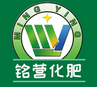 篮球滚球大小分漏洞|app*